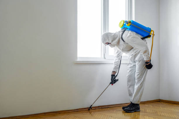 Reliable Sturgis, SD Pest Control Solutions