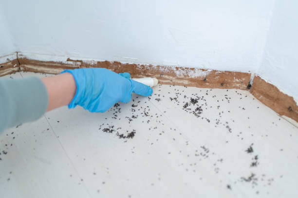 Best Commercial Pest Control Services  in Sturgis, SD